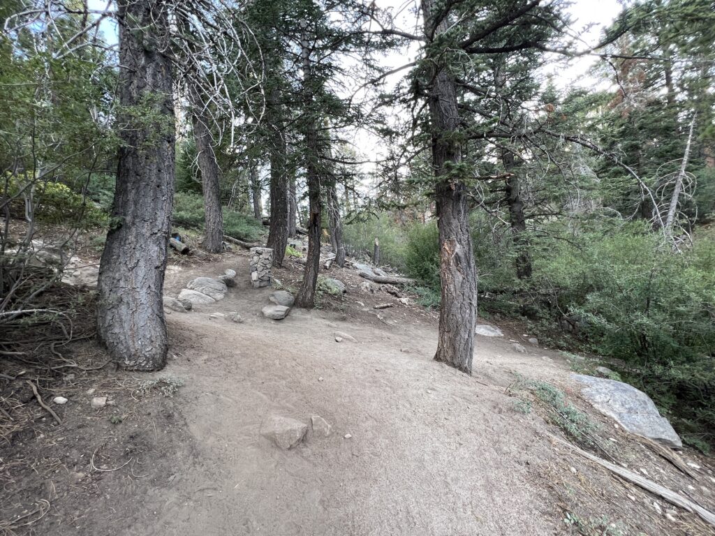 Fork in the trail for Castle Rock trail Big Bear Lake