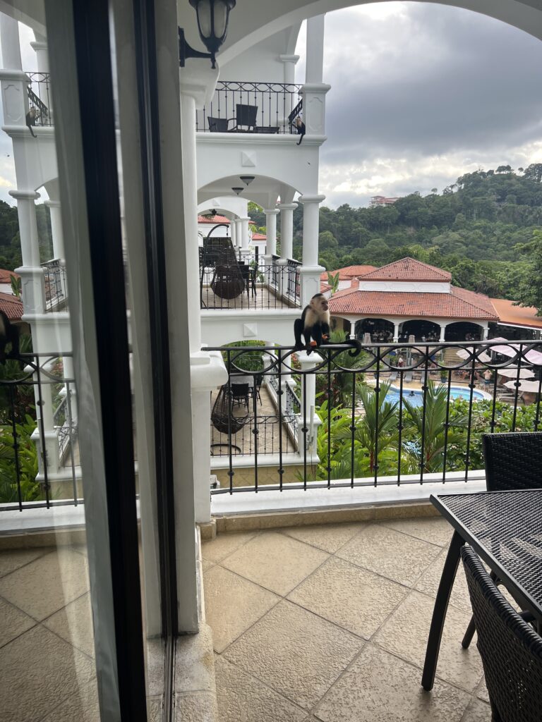 best hotel with a view in manuel antonio
