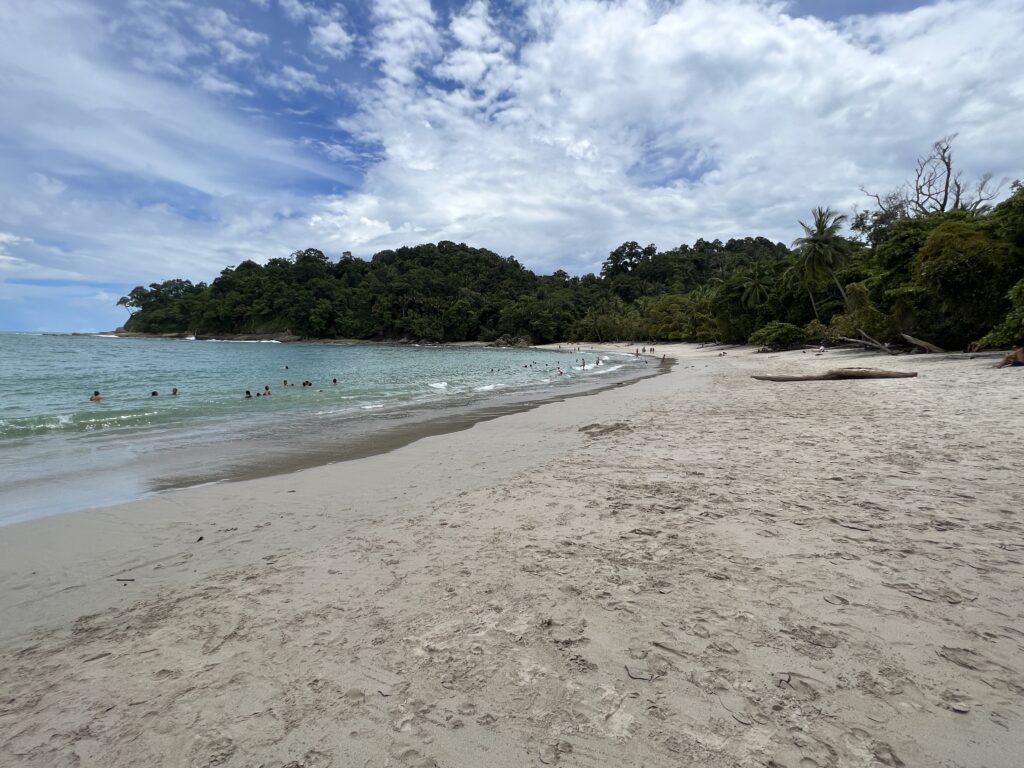 Best Beaches in Manuel Antonio