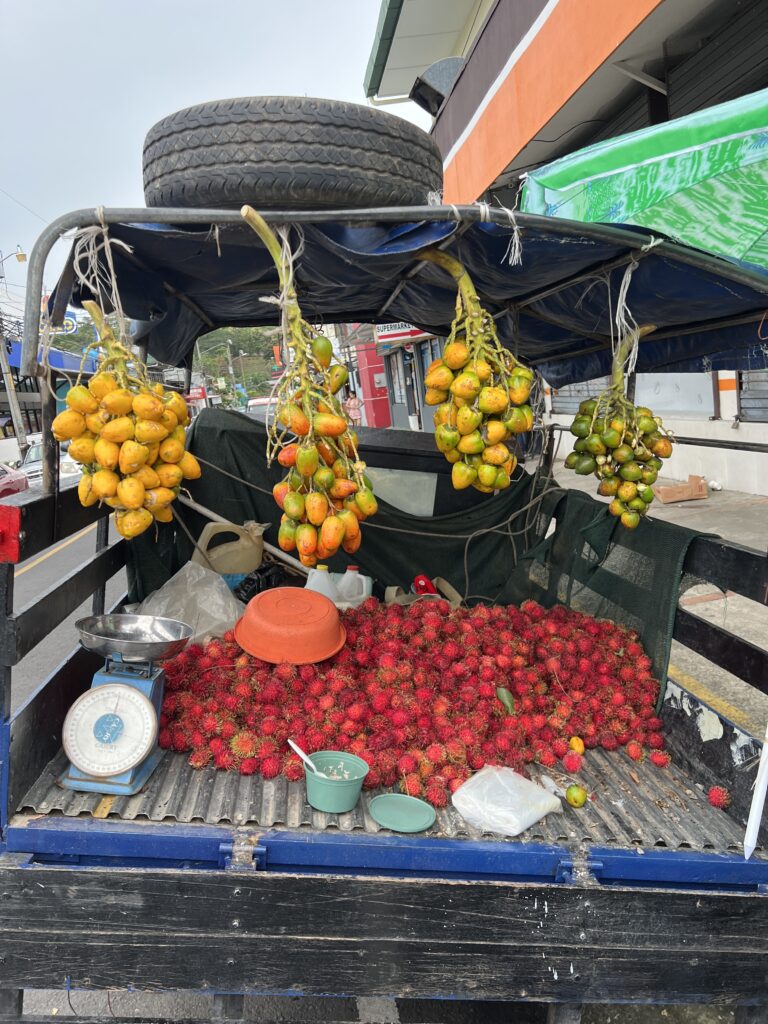 Manuel Antonio fresh fruit stands