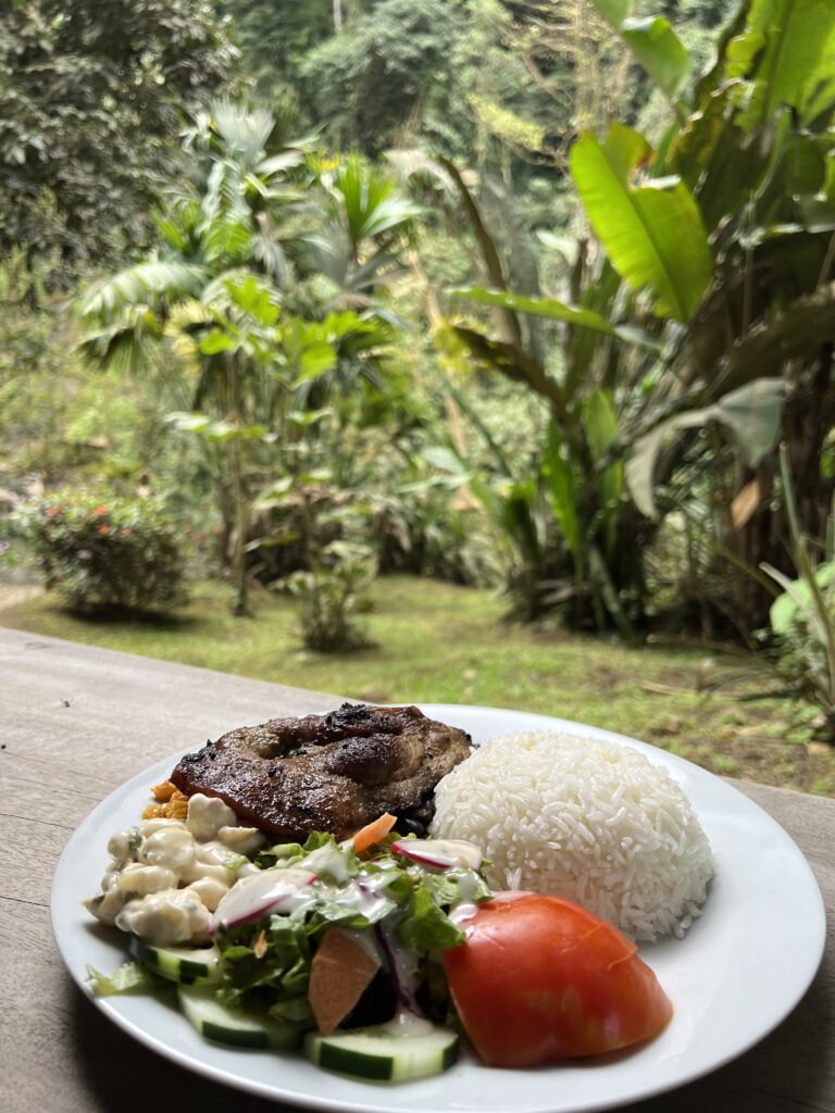 best place to eat Manuel Antonio 3