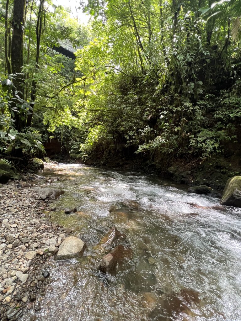 Best thing to do in La Fortuna hike Arenal Observatory