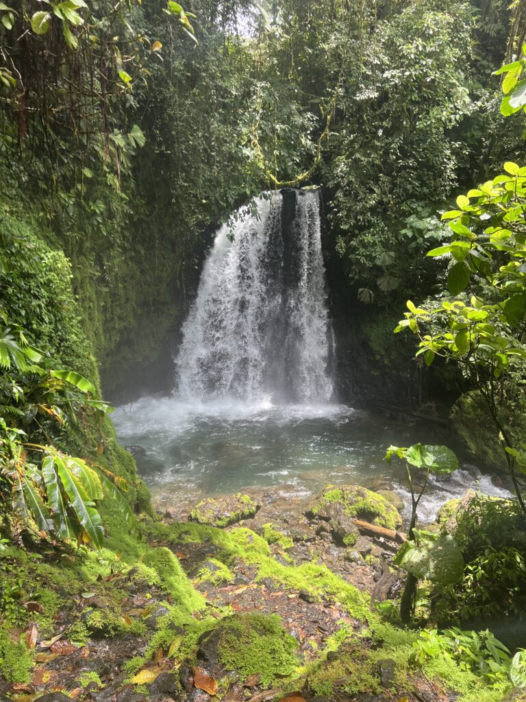 Best thing to do in la fortuna waterfalls