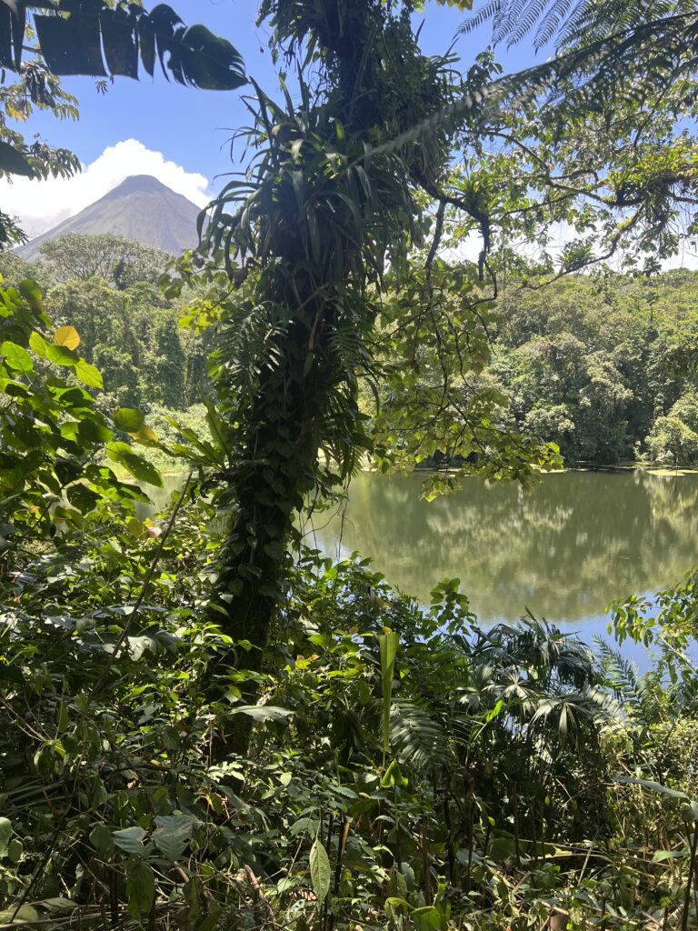 Arenal Volcano View and Lava Trails guide