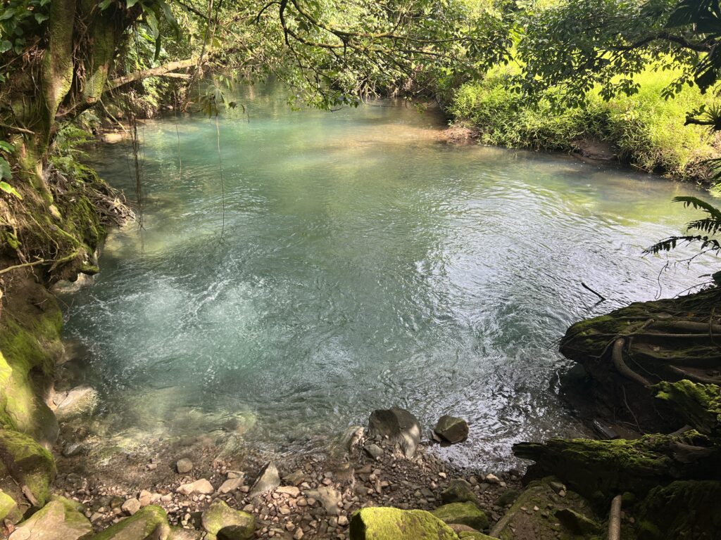 Best things to do in La Fortuna rio celeste 12