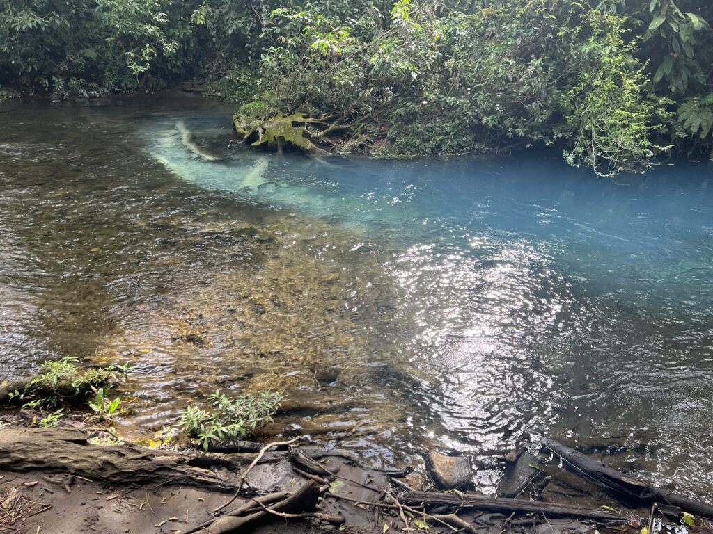 Best things to do in La Fortuna rio celeste 12