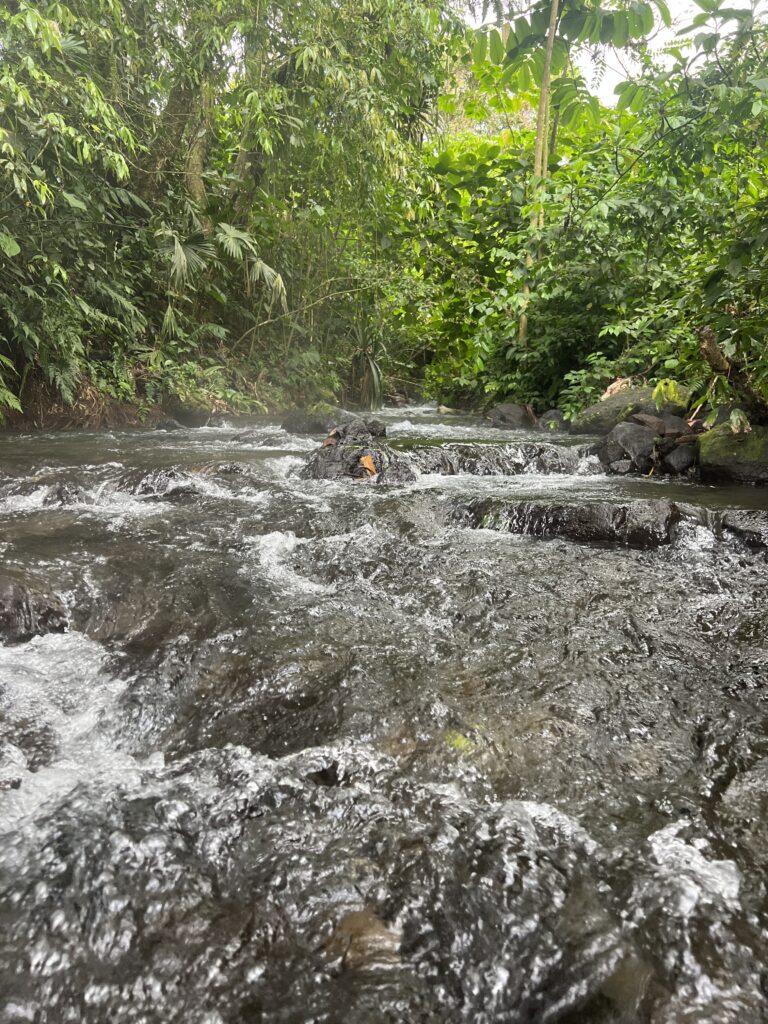 Secret public hot springs in La Fortuna