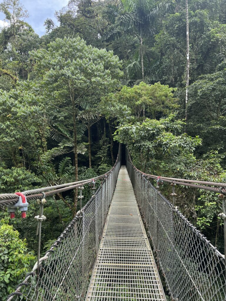 Místico Arenal Hanging Bridges guide guide