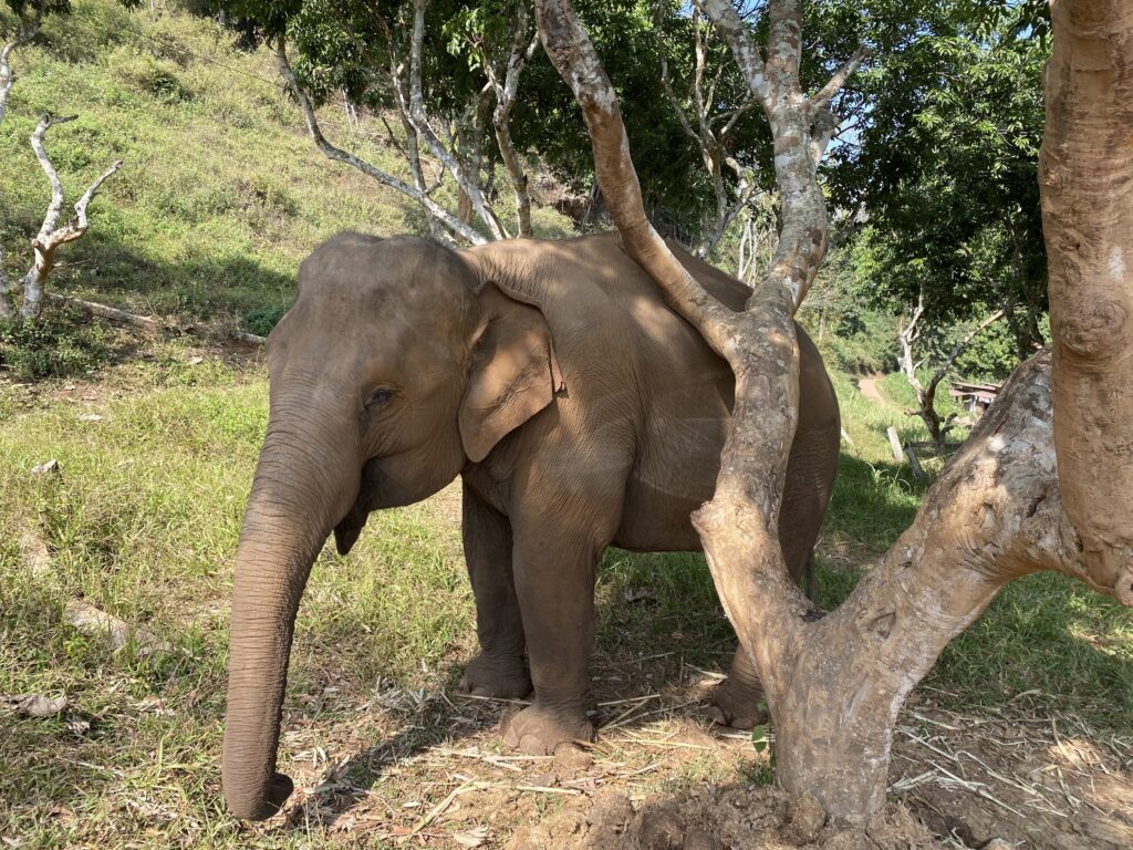 chaing mai thailand